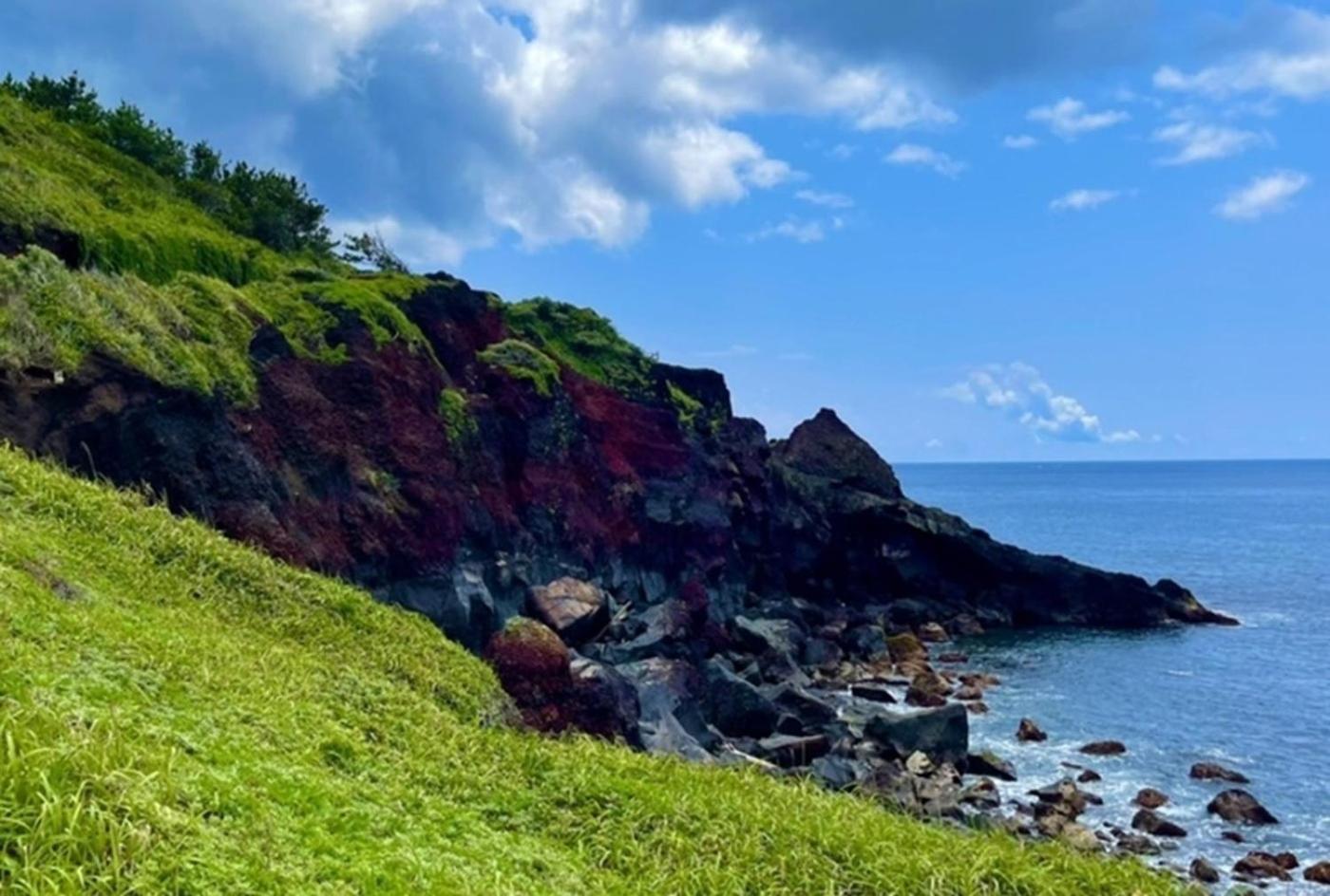 Mihamakan, Izu Oshima - Vacation Stay 89847V Exterior photo